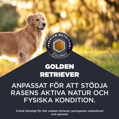 Golden Retriever. Anpassad för att stödja rasens aktiva natur och fysiska kondition. Även lämplig för flat coated retriever, portugisisk vattenhund och spinone.