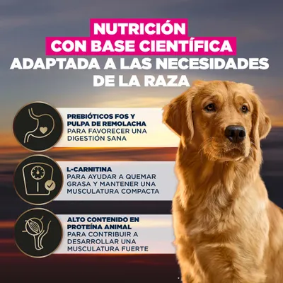 Nutrición basada en la ciencia, adaptada a la raza. Con fructo-oligosacáridos (FOS) y pulpa de remolacha, L-carnitina y un alto contenido de proteínas animales para una digestión y musculatura saludables.