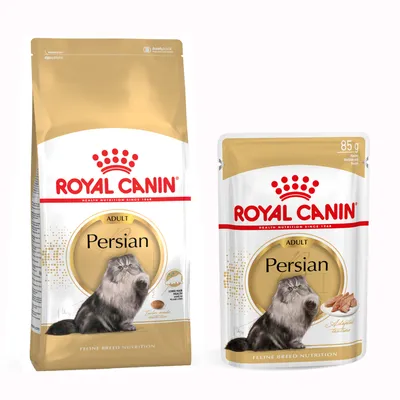 Blandet pakke: 2 kg Royal Canin kattetørfoder + 12 x 85 g Royal Canin i sauce - Persian Blandet pakke: 2 kg Royal Canin kattetørfoder + 12 x 85 g Royal Canin i sauce - Persian