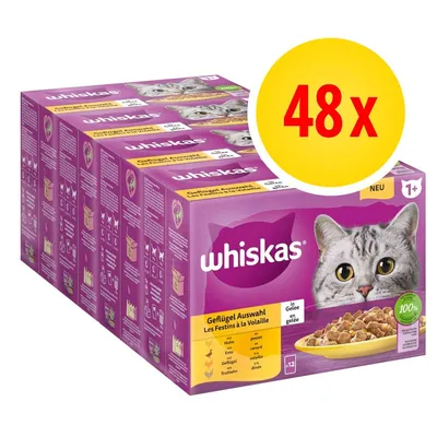 Whiskas Geflügel Auswahl w galarecie, zestaw 48 x 85 g. Widoczne opakowania z kotem i żółtym oznaczeniem 48x. Smaki: kurczak, kaczka, drób, indyk.