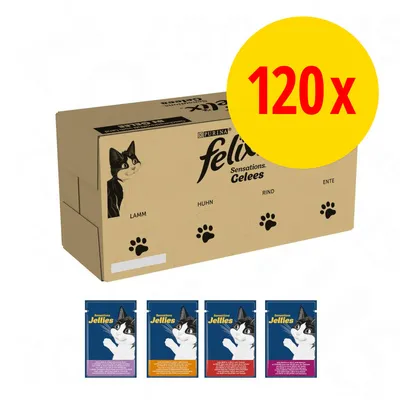 Carton Purina Felix Sensations Gelees 120x, saveurs visibles : Lamm, Huhn, Rind, Ente. Quatre sachets individuels Jellies illustrés en bas de l’image. Carton Purina Felix Sensations Gelees 120x, saveurs visibles : Lamm, Huhn, Rind, Ente. Quatre sachets individuels Jellies illustrés en bas de l’image.