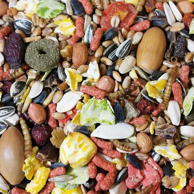 Mischung aus Nüssen, Samen, getrockneten Früchten, Gemüse und Insekten. Geeignet als Futtermittel für Kleintiere oder Vögel. Mischung aus Nüssen, Samen, getrockneten Früchten, Gemüse und Insekten. Geeignet als Futtermittel für Kleintiere oder Vögel.