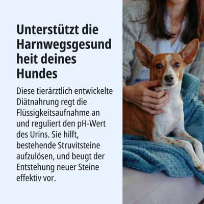Unterstützt die Harnwegsgesundheit deines Hundes. Diätnahrung regt Flüssigkeitsaufnahme an, reguliert pH-Wert des Urins, hilft Struvitsteine aufzulösen und beugt neuen Steinen vor.