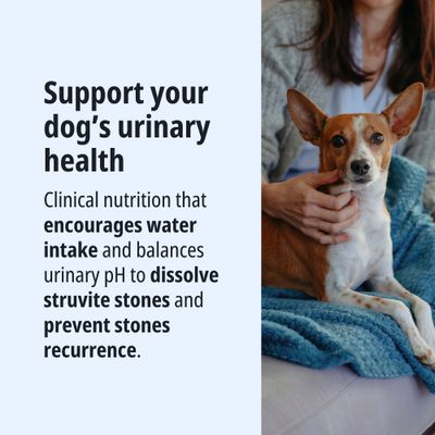 Supports urinary tract health in dogs: clinical nutrition promotes water intake, dissolves struvite stones and prevents their recurrence by maintaining a balanced pH level.