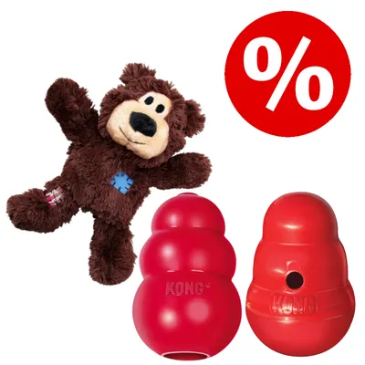 Plüschbär-Spielzeug und zwei rote KONG-Spielzeuge, daneben ein rotes Prozentzeichen für Rabattaktion.