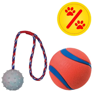 Zwei Hundespielzeuge: ein Ball mit blauen Streifen und ein Noppenball an einer rot-blau-weißen Schnur, daneben gelbes Symbol mit roten Pfoten und Prozentzeichen.