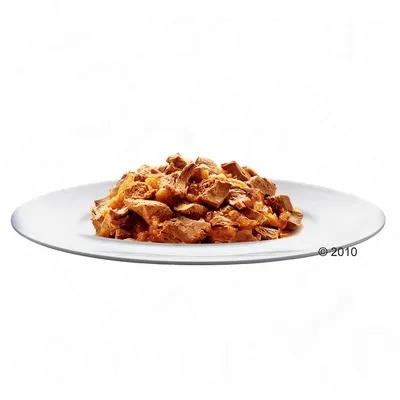 Portie natvoer met stukjes vlees in saus op een wit bord, zonder zichtbare merknaam of verpakking.