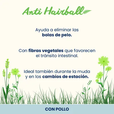 Almo Nature Functional Anti Hairball - Pack mixto 6 x 70 g: 3 x Pollo y 3 x Buey