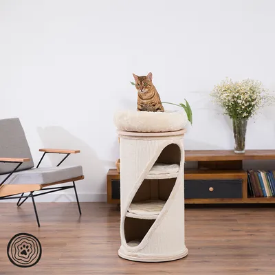 Kratzbaum mit drei Ebenen und gepolsterter Liegefläche oben, beige Stoffbezug. Bengal-Katze sitzt auf der oberen Liegefläche.