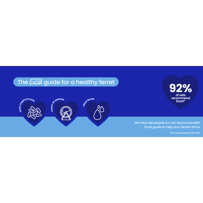 Burgess Excel guide for a healthy ferret: Excel Complete Food, plenty of exercise, fresh water. 92% of vets recommend Excel. Annual survey of British vets.
