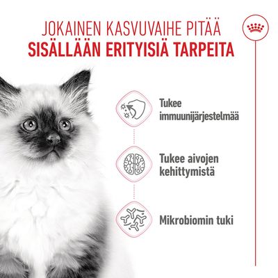 Grafiikka, jossa on kissa ja kolme symbolia. Teksti: Tukee immuunijärjestelmää, tukee aivojen kehittymistä, mikrobiomin tuki.