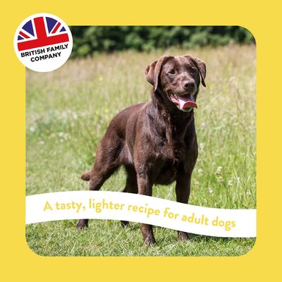 British Family Company. A delicious, lighter recipe for adult dogs.