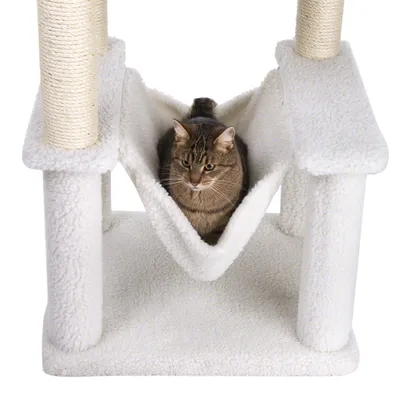 Krabpaal met witte pluche bekleding, sisalpalen en een hangmat waarin een kat ligt.