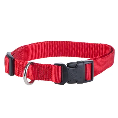 Rotes Halsband aus Nylon mit schwarzem Klickverschluss und Metallring. Rotes Halsband aus Nylon mit schwarzem Klickverschluss und Metallring.