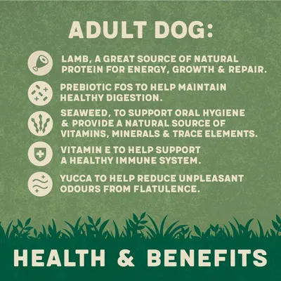 Adult dog food benefits: lamb for protein, prebiotic FOS for digestion, seaweed for oral hygiene and nutrients, vitamin E for immune system, yucca to reduce flatulence odours. Adult dog food benefits: lamb for protein, prebiotic FOS for digestion, seaweed for oral hygiene and nutrients, vitamin E for immune system, yucca to reduce flatulence odours.