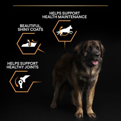 PURINA PRO PLAN Large Robust Adult Everyday Nutrition - 14kg
