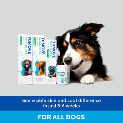 YUMOVE Skin & Coat Care for All Dogs packaging with product boxes and tub. Text: See visible skin and coat difference in just 3–6 weeks. For all dogs.