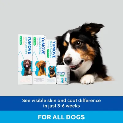 YUMOVE Skin & Coat Care for All Dogs packaging with product boxes and tub. Text: See visible skin and coat difference in just 3–6 weeks. For all dogs.
