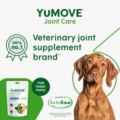 YuMOVE Joint Care veterinary joint supplement brand, UK’s no.1, for fussy pups, powered by ActivEase green lipped mussel, pack of daily bites for senior dogs shown.