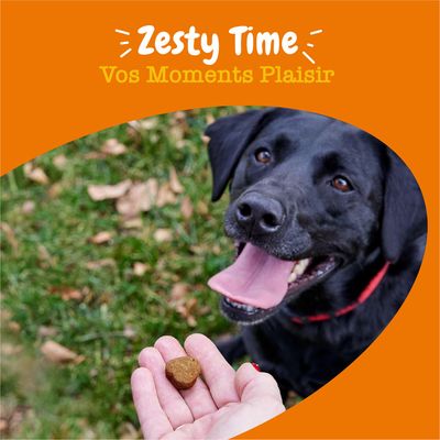 Zesty Time Vos Moments Plaisir, main tenant une croquette en forme de cœur sur fond d’herbe. Texte visible : Zesty Time Vos Moments Plaisir.