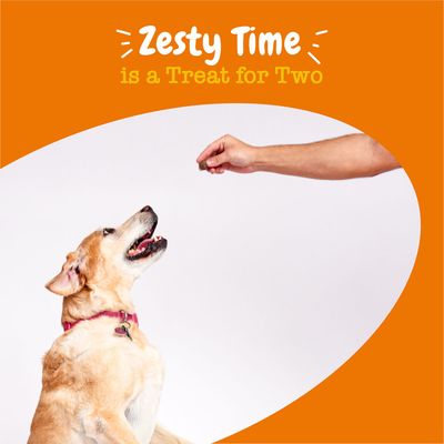 Text: Zesty Time is a Treat for Two. Pes s červeným obojkem sedí a čeká na pamlsek, který drží ruka člověka.