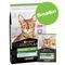 Pack bi-nutrition : PURINA PRO PLAN 10 kg de croquettes + 12 sachets de 85 g 10 kg Sterilised riches en saumon + 12 x 85 g Sterilised bœuf