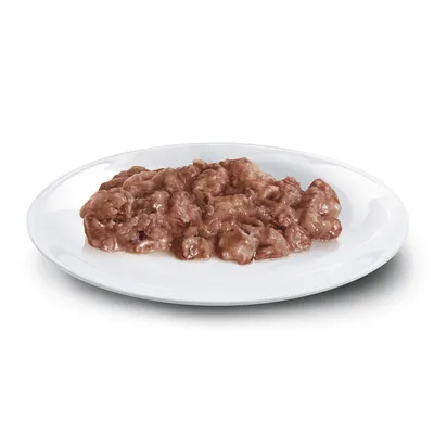 Close-up of wet food on a white plate, brown meaty consistency with moist texture.