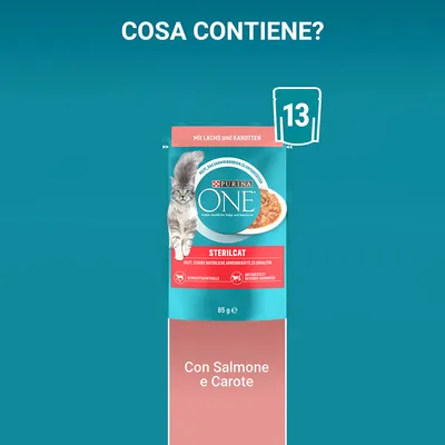 Purina ONE Sterilcat 85 g, alimento per gatti con salmone e carote. Confezione mostra scritta 'Con Salmone e Carote' e simbolo 13 bustine.