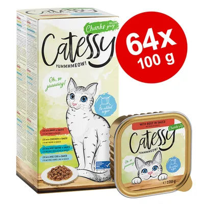 Balení Catessy Chunks in Gravy, 64×100 g. Na obalu text: YUMMMMEOW!, Oh, so juuuicy!, No added sugar, With beef in sauce. Ilustrace kočky a porce krmiva.