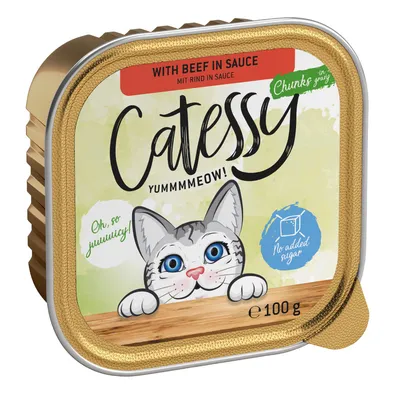 Catessy krmivo pro kočky s hovězím v omáčce, 100g. Bez přidaného cukru. Obal zobrazuje šedou kočku s modrýma očima a texty 'Oh, so yummy!' a 'Chunks in gravy'.
