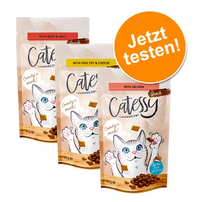 Catessy Snacks in drei Sorten: Rind & Malz, Geflügel & Käse, Lachs. Verpackung mit Cartoon-Katze und Hinweis 'Crunchy'n smooth'. Orange Kreis: 'Jetzt testen!'.