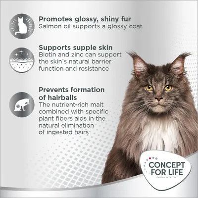 Promotes glossy fur with salmon oil, supports supple skin with biotin and zinc, prevents hairballs with malt and plant fibres. Concept for Life brand shown.