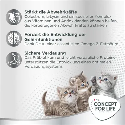 Stärkt Abwehrkräfte, fördert Gehirnfunktionen dank DHA und unterstützt sichere Verdauung durch Präbiotikum. Concept for Life Logo mit drei Kätzchen sichtbar.