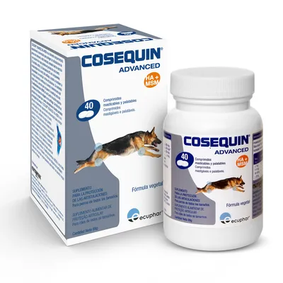 Cosequin Advanced HA+MSM, 40 comprimidos mastigáveis e palatáveis. Suplemento alimentar de proteção articular para cães de todos os tamanhos. Fórmula vegetal. Marca Ecuphar.