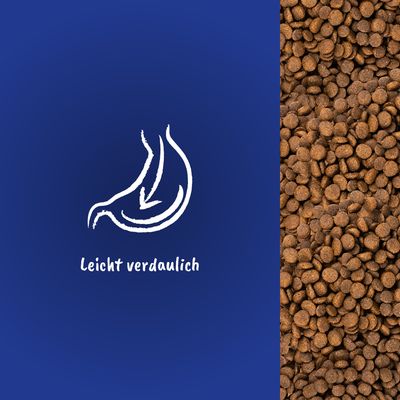 Illustration eines Magens mit Pfeilen und Text 'Leicht verdaulich' neben einer Nahaufnahme von braunen Kroketten.