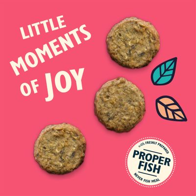 Lily's Kitchen Reel Tempting Salmon Fishcakes with White Fish - 70g