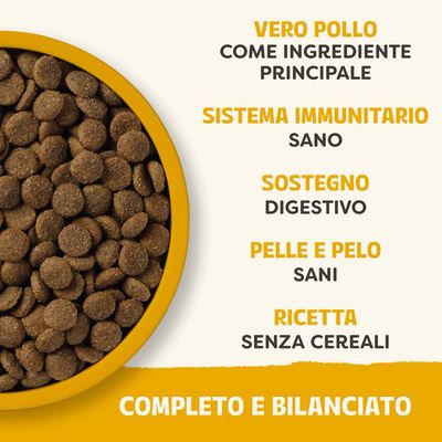 Crocchette in vaschetta gialla, Testo: vero pollo come ingrediente principale, sistema immunitario sano, supporto alla digestione, pelle e pelo sani, ricetta senza cereali, completa e bilanciata.