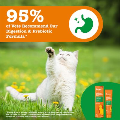 95% от ветеринарните лекари препоръчват нашата Digestion & Prebiotic Formula. Изображение на бяла котка и опаковка на продукта със символ на стомах.