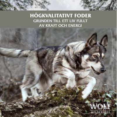 Text: Högkvalitativt foder. Grunden till ett liv fullt av kraft och energi. Wolf of Wilderness.
