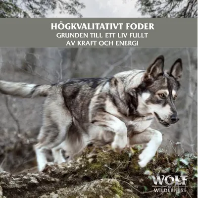 Text: Högkvalitativt foder. Grunden till ett liv fullt av kraft och energi. Wolf of Wilderness.