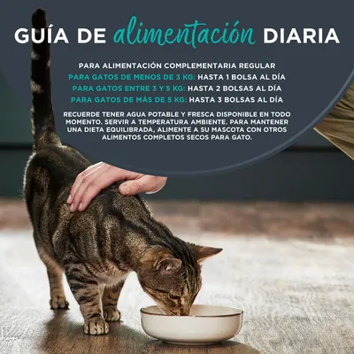 Encore en bolsitas 16 x 70 g comida húmeda para gatos