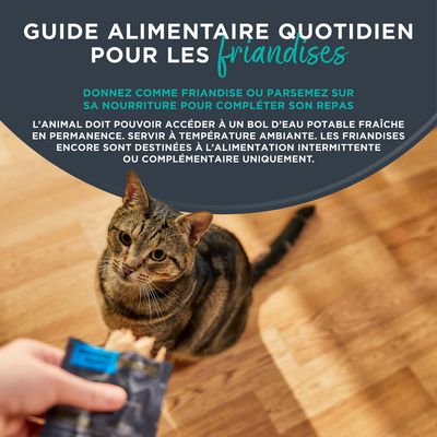 Encore Filet de thon pour chat - 3 x 30 g