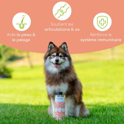 Wolfsbacher Huile de saumon naturelle pour chien