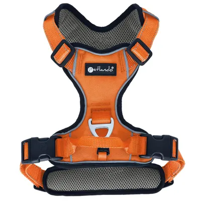 Petlando Outdoor sele, orange
