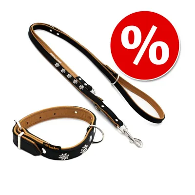 Heim szett: Edelweiß vezetőpóráz + nyakörv - Nyakörv (24 - 29 cm nyakkörfogat) + póráz