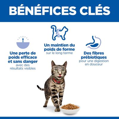 Avantages clés : perte de poids efficace et sûre, maintien du poids à long terme, fibres prébiotiques pour une digestion douce. L’image montre un chat avec une gamelle.