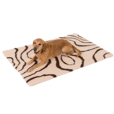 Dog lying on a cream-coloured blanket with brown zebra pattern.
