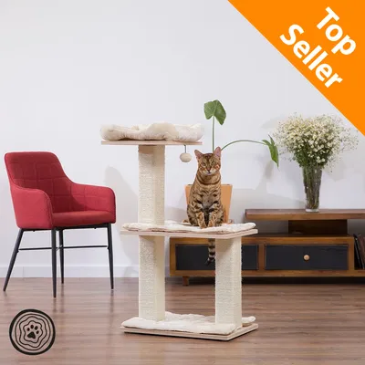Tiragraffi beige a due livelli con cuccia superiore, palla appesa e gatto seduto sul ripiano centrale. Etichetta arancione in alto a destra: Top Seller. Tiragraffi beige a due livelli con cuccia superiore, palla appesa e gatto seduto sul ripiano centrale. Etichetta arancione in alto a destra: Top Seller.