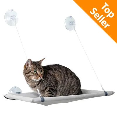 Gatto su amaca grigia con ventose trasparenti fissate a una superficie. In alto a destra testo: Top Seller.