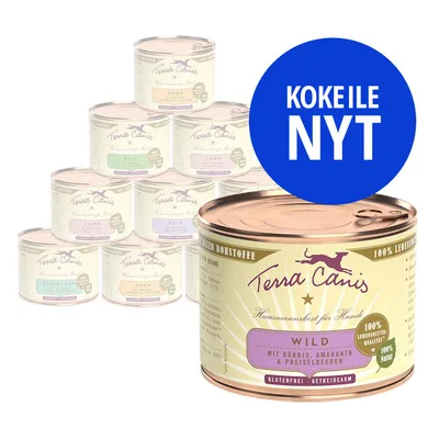 Terra Canis -koiranruokapurkkeja eri makuja, etualalla Wild-maku. Sininen ympyrä, jossa valkoinen teksti: KOKEILE NYT.